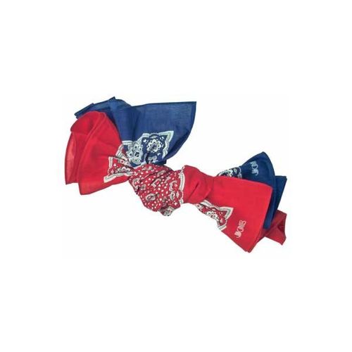 2 St Bandanos Taschentücher Zunfttücher rot und blau